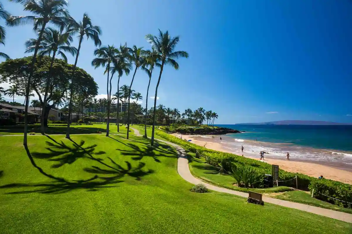 Things to Do in Maui with Kids During Rainy Season